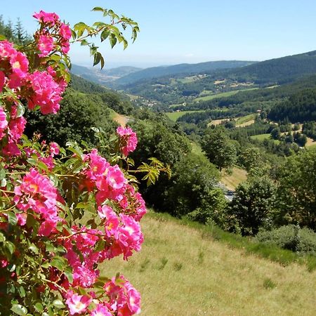 Ancienne Petite Ferme Renovee Villa Saint-Regis-du-Coin Екстериор снимка